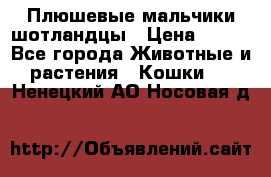 Плюшевые мальчики шотландцы › Цена ­ 500 - Все города Животные и растения » Кошки   . Ненецкий АО,Носовая д.